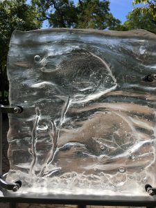 Bluegill Glass Casting for ArtPrize's "Crossing the Straits" juried show.