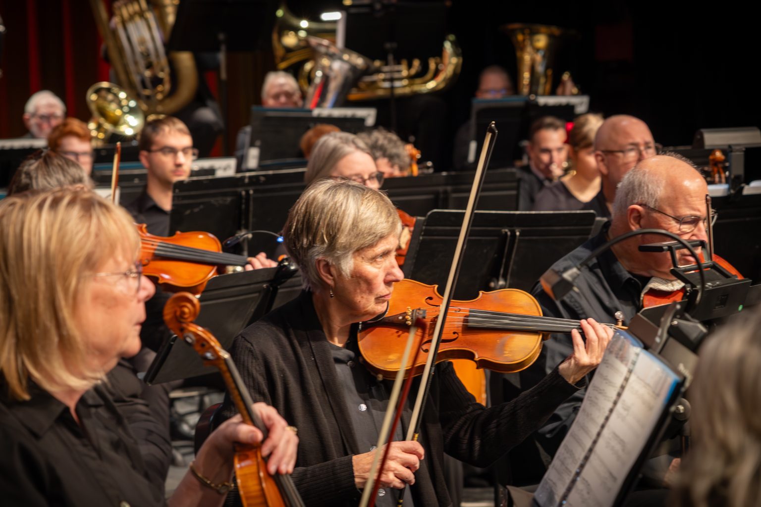 Gallery 3 - Viola, Violin and other musicians