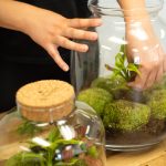 Build a Terrarium