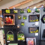 Gallery 4 - Roxanne Rhoads